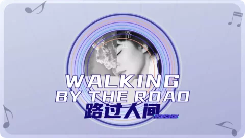 Full Chinese Music Song Walking by the Road Lyrics in Chinese with Pinyin