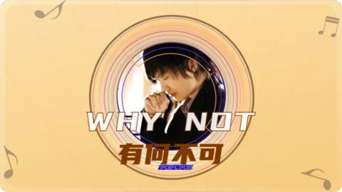 Full Chinese Music Song Why Not Lyrics in Chinese with Pinyin