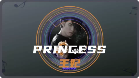 Full Chinese Music Song Princess Song Lyrics For Wang Fei in Chinese with Pinyin
