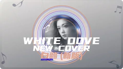 Full Chinese Music Song White Dove Song Lyrics For Bai Ge (New Cover) in Chinese with Pinyin