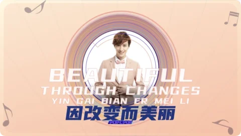 Full Chinese Music Song Beautiful Through Changes Lyrics For Yin Gai Bian Er Mei Li in Chinese with Pinyin