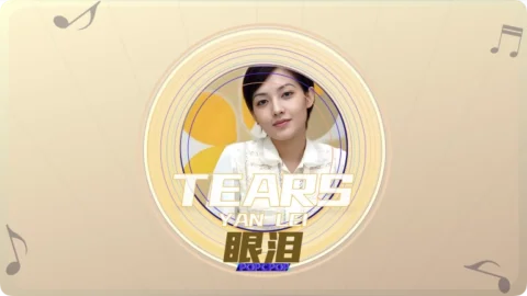 Full Chinese Music Song Tears Lyrics For Yan Lei in Chinese with Pinyin