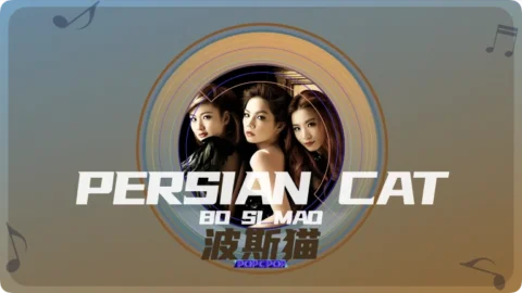 Full Chinese Music Song Persian Cat Lyrics For Bo Si Mao in Chinese with Pinyin